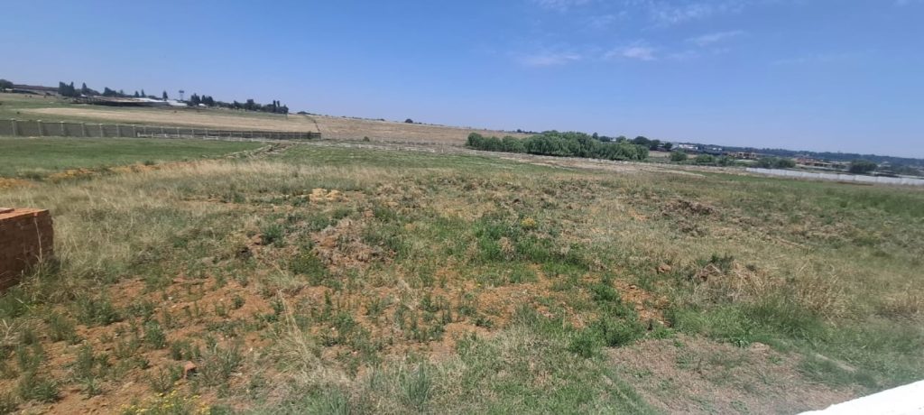 screenshot 2026 03 16 142846